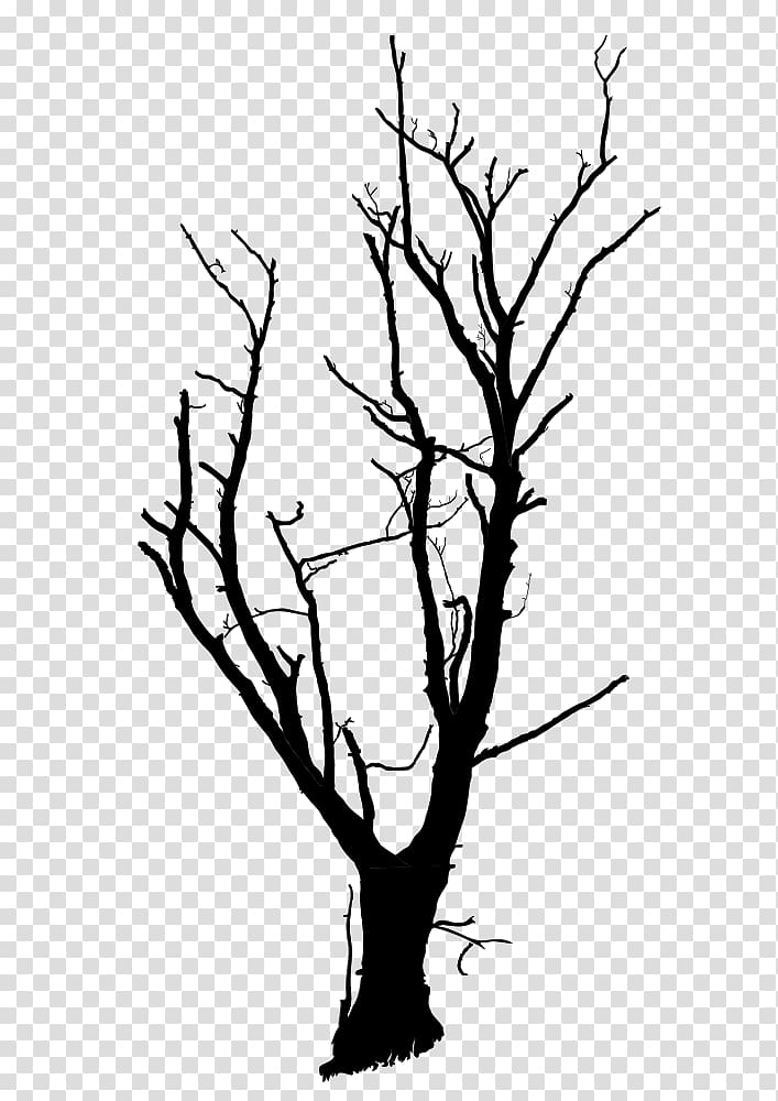 Tree Branch Snag Drawing , tree transparent background PNG clipart