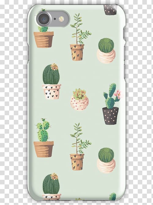 Cactaceae Cactus garden Desktop Succulent plant, baby cactus transparent background PNG clipart