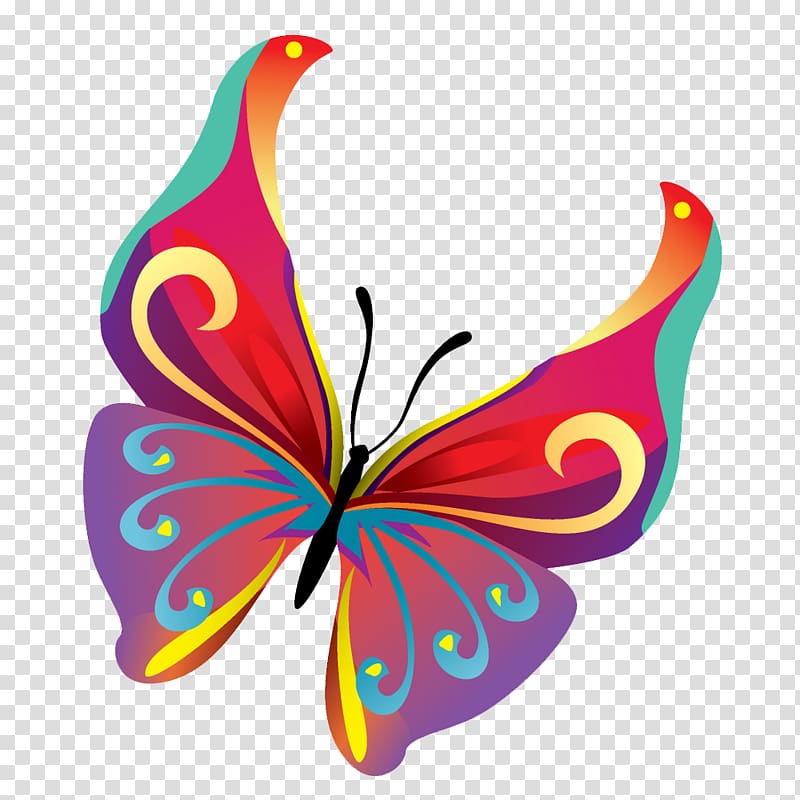 multicolored butterfly , Butterfly , Butterflies Pic transparent background PNG clipart