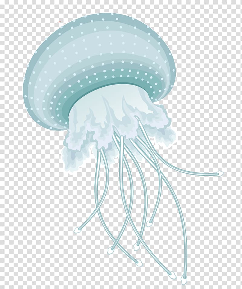 Jellyfish Information , others transparent background PNG clipart