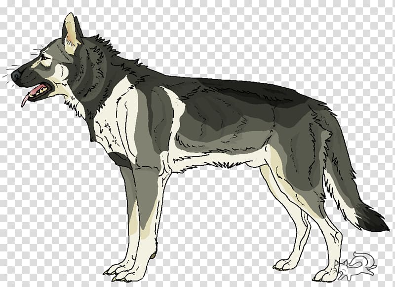 German Shepherd Siberian Husky Kunming wolfdog Saarloos wolfdog Czechoslovakian Wolfdog, puppy transparent background PNG clipart