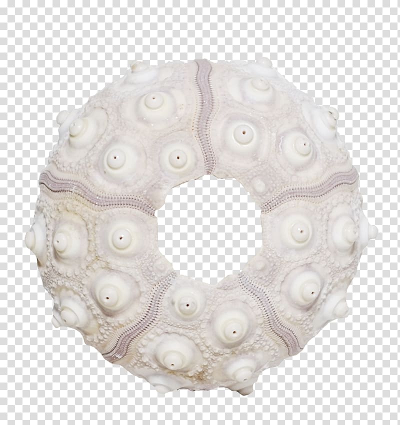 Conch Creativity Sea snail Designer, Creative beautiful conch ring transparent background PNG clipart