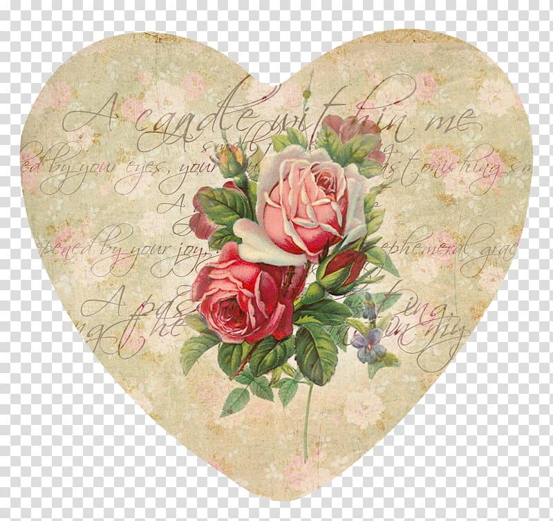 Heart Cut flowers Garden roses , Shabby transparent background PNG clipart