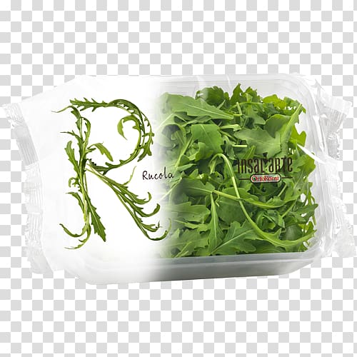 Arugula Salad Vegetable Fruit Spinach, salad transparent background PNG clipart