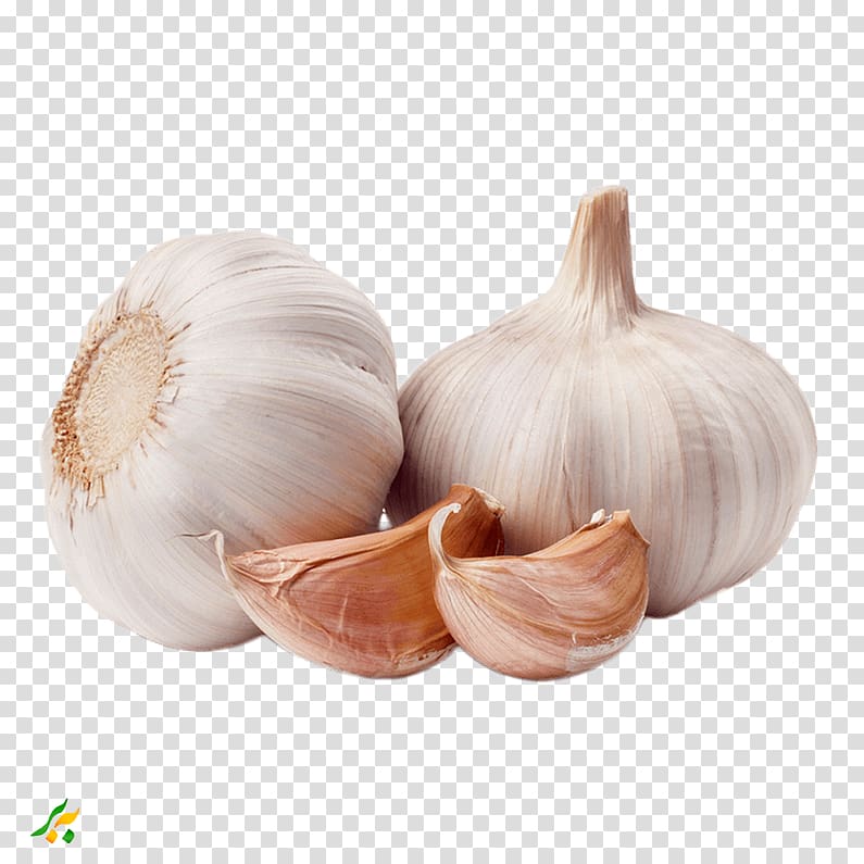 Garlic Shallot Vegetable Spice Food, garlic transparent background PNG clipart