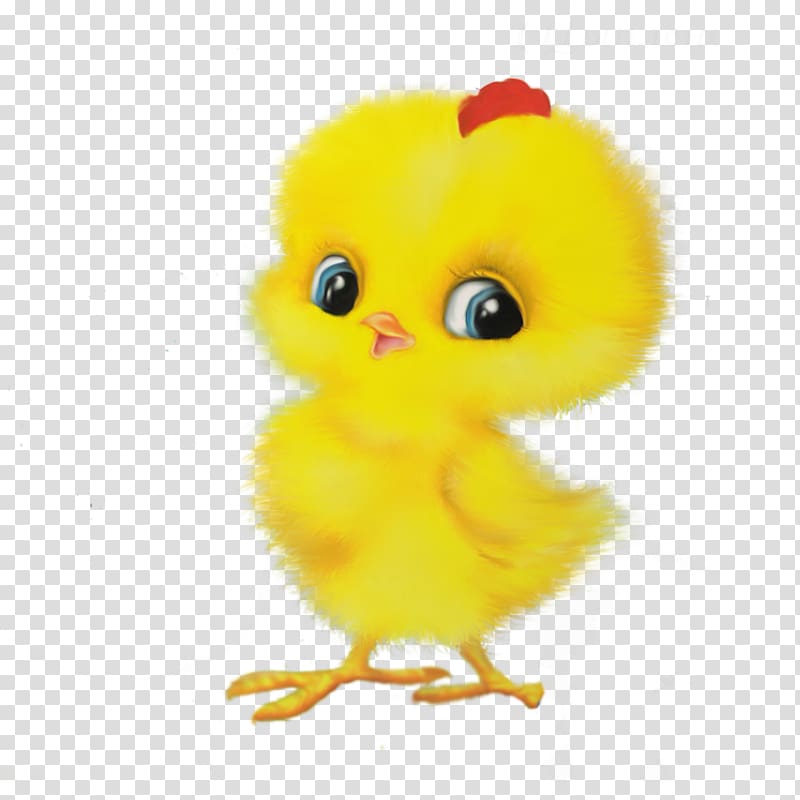Chicken Child First Hen Rooster Game, chick transparent background PNG clipart