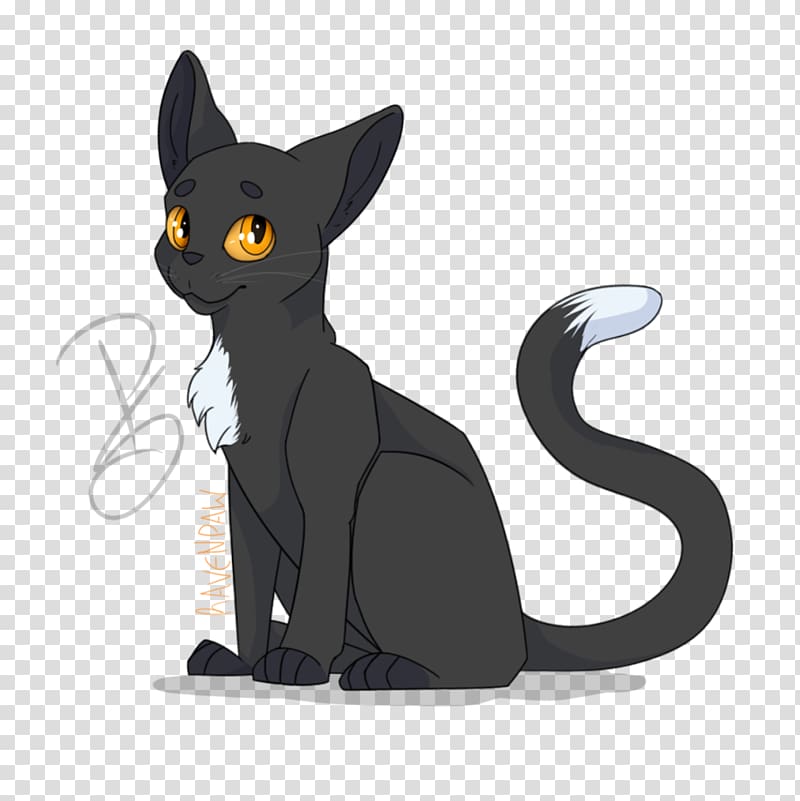 Black cat Korat Kitten Ravenpaw Whiskers, kitten transparent background PNG clipart