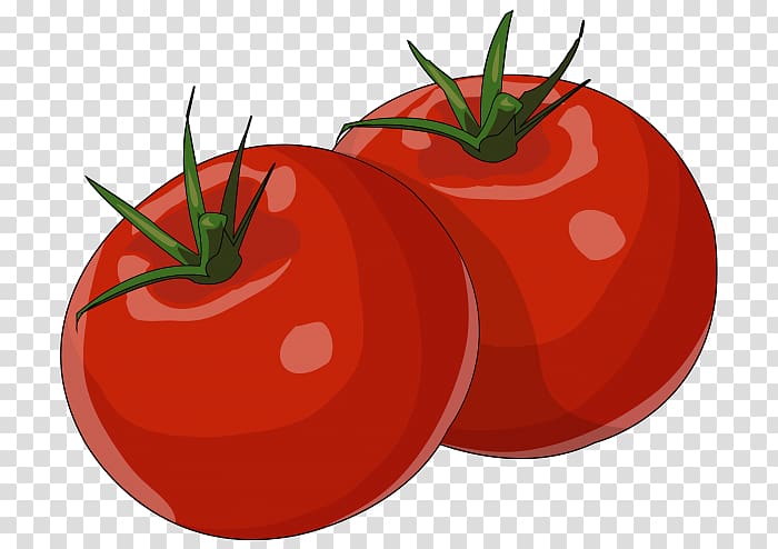 Plum tomato Bush tomato Pizza Drawing Food, pizza transparent background PNG clipart