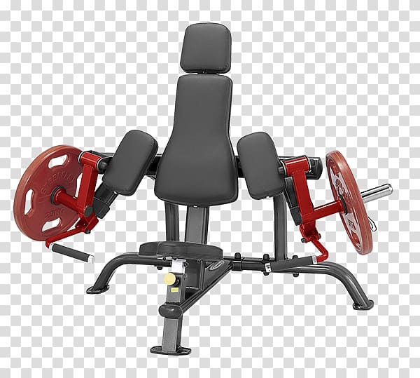 Biceps curl Leg extension Triceps brachii muscle Exercise equipment, American Curl transparent background PNG clipart