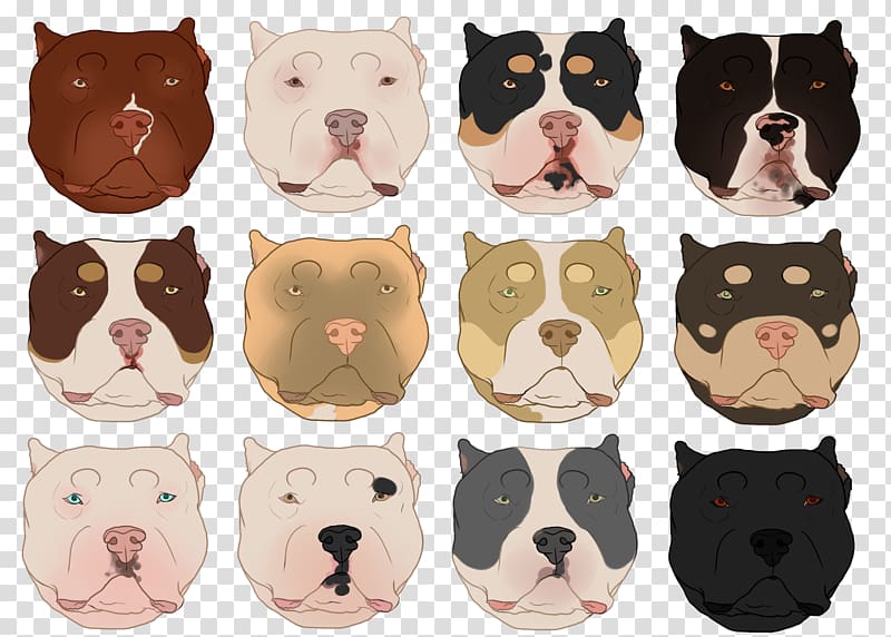 Bulldog Boston Terrier Dog breed Snout, rng transparent background PNG clipart
