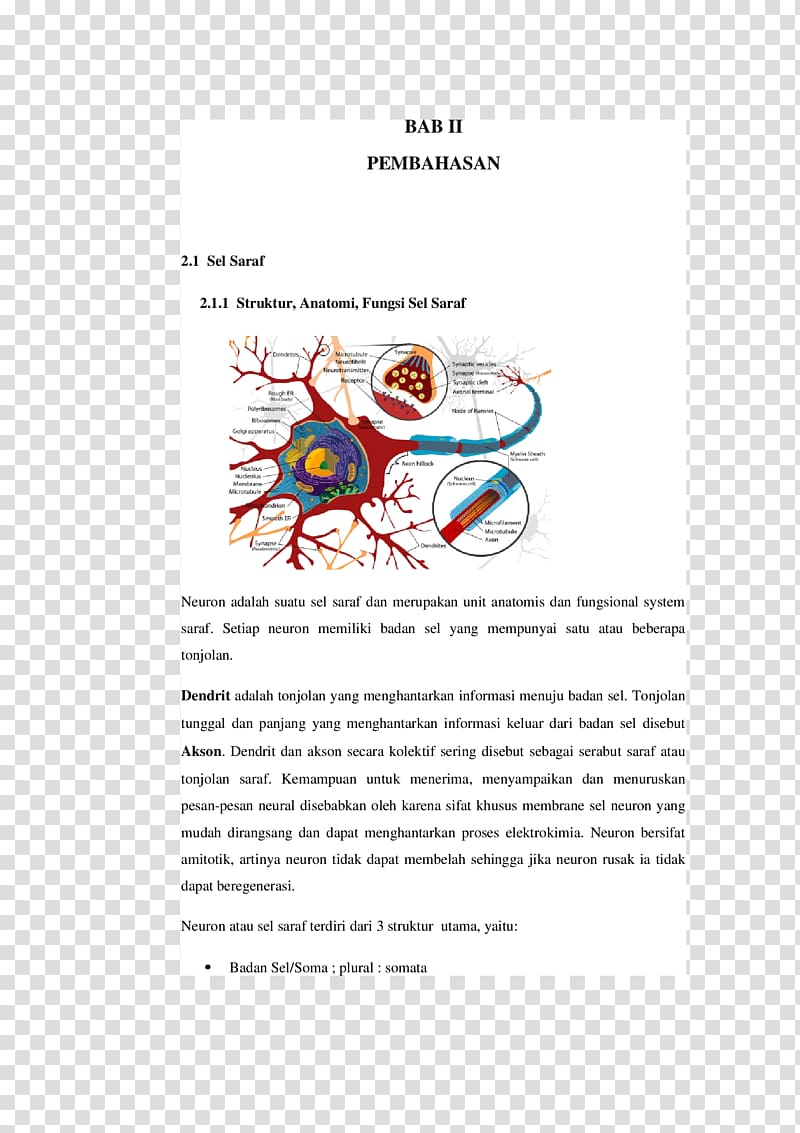 Organ Stimulation Effector cell Tissue, resume 0 2 1 transparent background PNG clipart