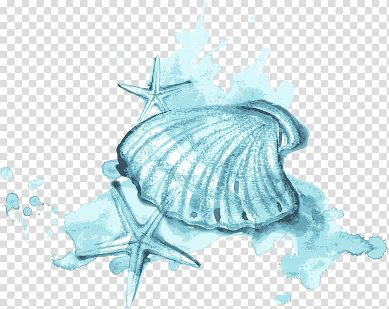 Seashell Watercolor painting Illustration, Blue watercolor shells and starfish, green starfishes and seashell illustration transparent background PNG clipart
