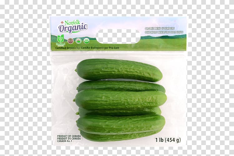 Pickled cucumber Melon Organic food, cucumber transparent background PNG clipart