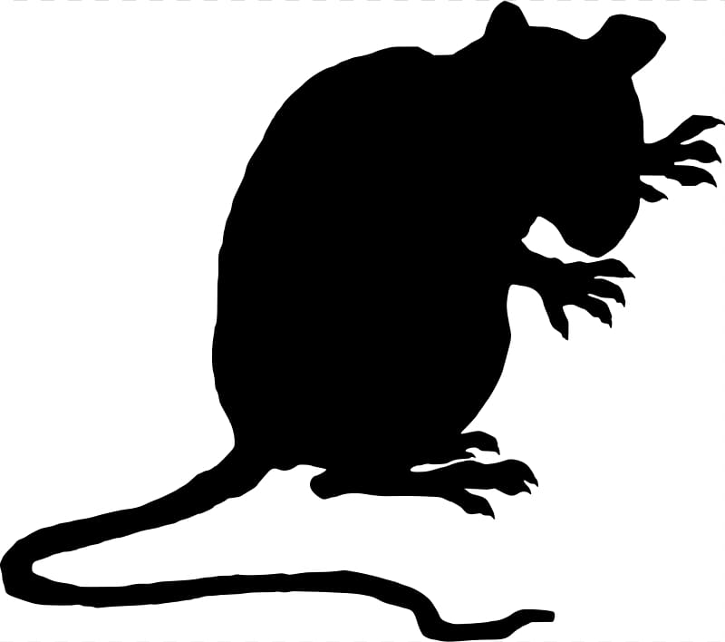 Brown rat Black rat Laboratory rat Mouse , Evil Rat transparent background PNG clipart