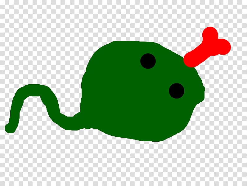 Frog , frog transparent background PNG clipart