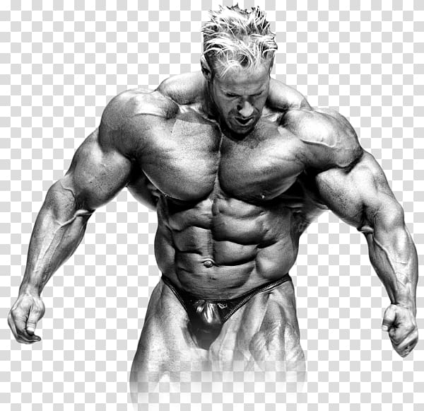 2009 Mr. Olympia Physical fitness Abdomen Thorax, mr olympia transparent background PNG clipart