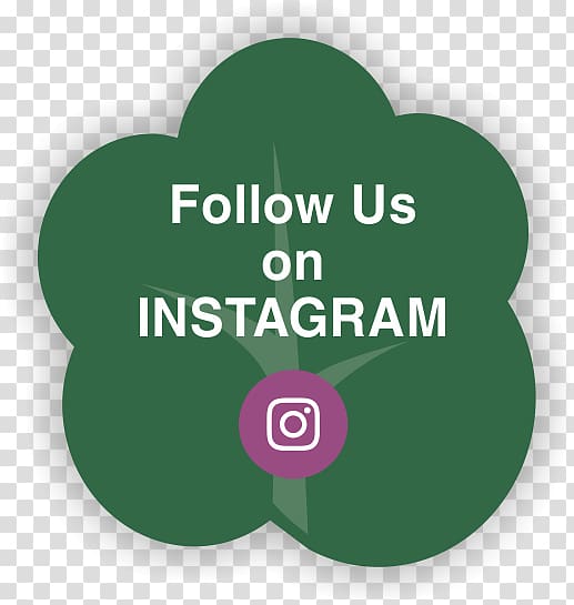 The Selby Centre Social media Blog Instagram, social media transparent background PNG clipart