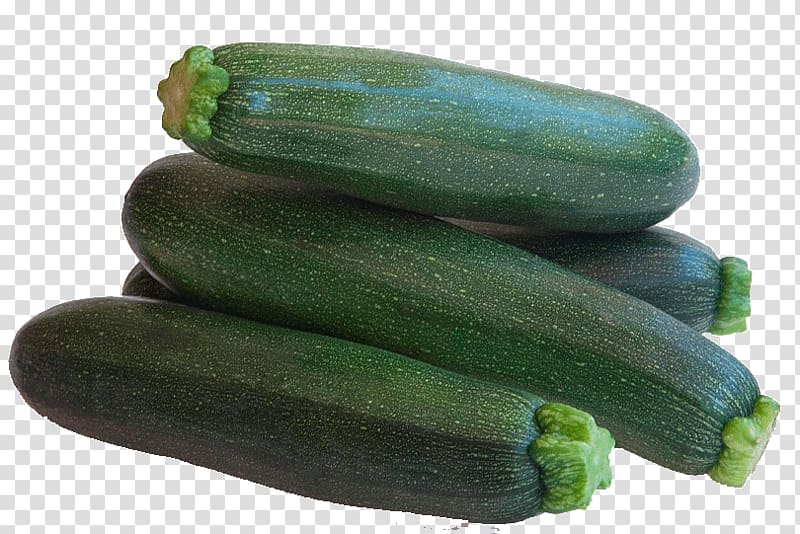 Zucchini Cucumber Calabaza Vegetable Summer squash, vegetables transparent background PNG clipart