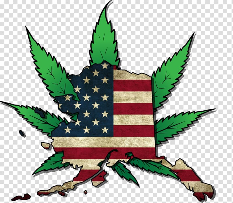 Alaska War on drugs Legality of cannabis Medical cannabis, marijuana transparent background PNG clipart