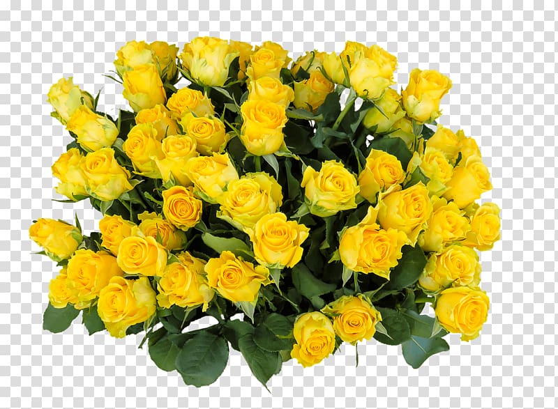 yellow tulip flowers, Bunch Of Yellow Roses transparent background PNG clipart