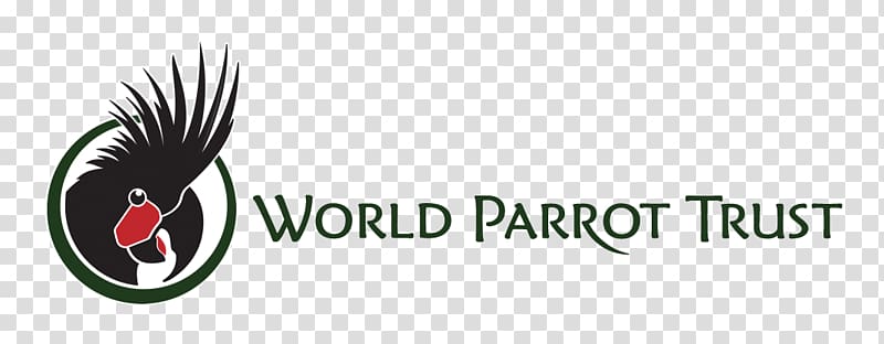 World Parrot Trust Logo Beak Bird, parrot transparent background PNG clipart