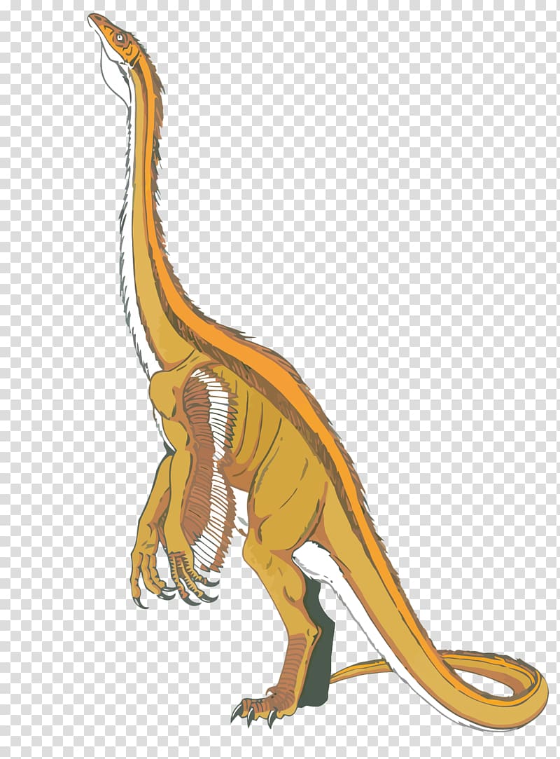 Velociraptor Tyrannosaurus Dinosaur, dinosaurs transparent background PNG clipart