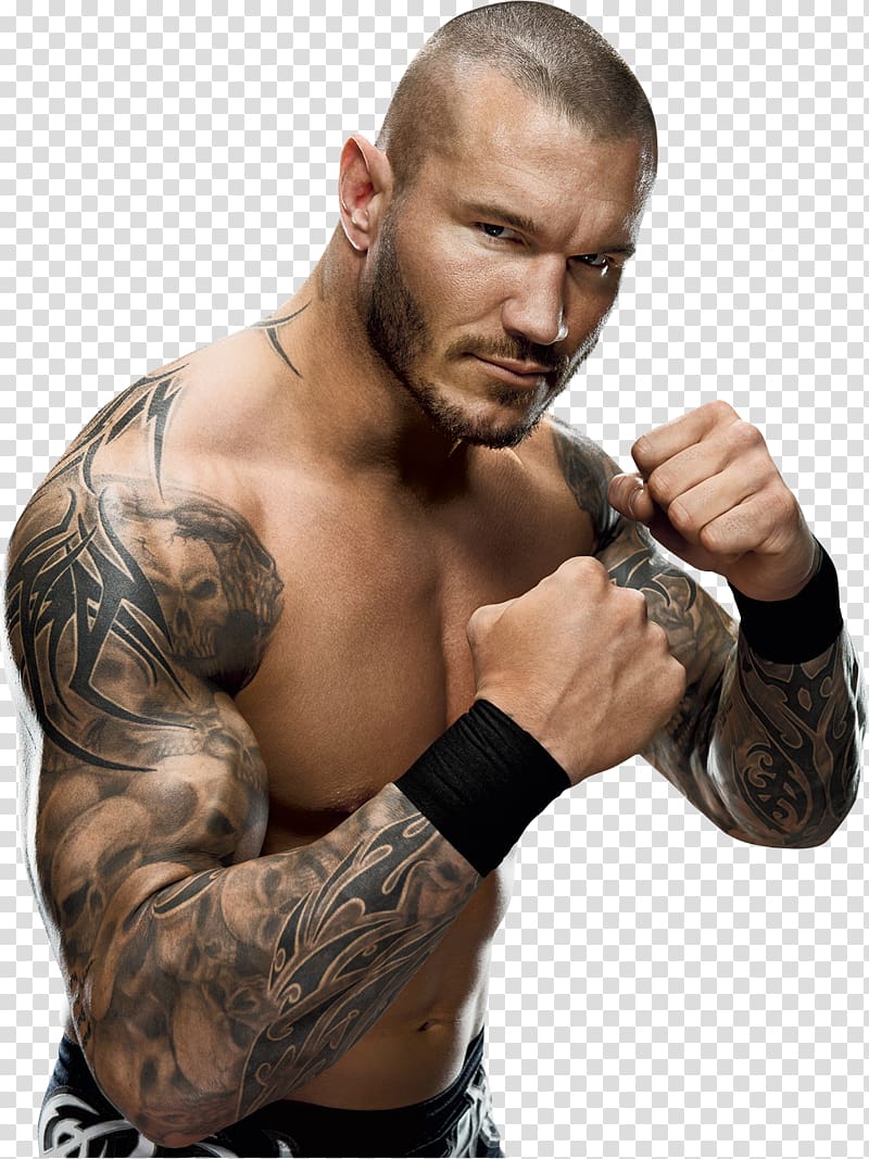 Randy Orton WWE Championship Money in the Bank ladder match WWE Money in the Bank World Heavyweight Championship, randy orton transparent background PNG clipart