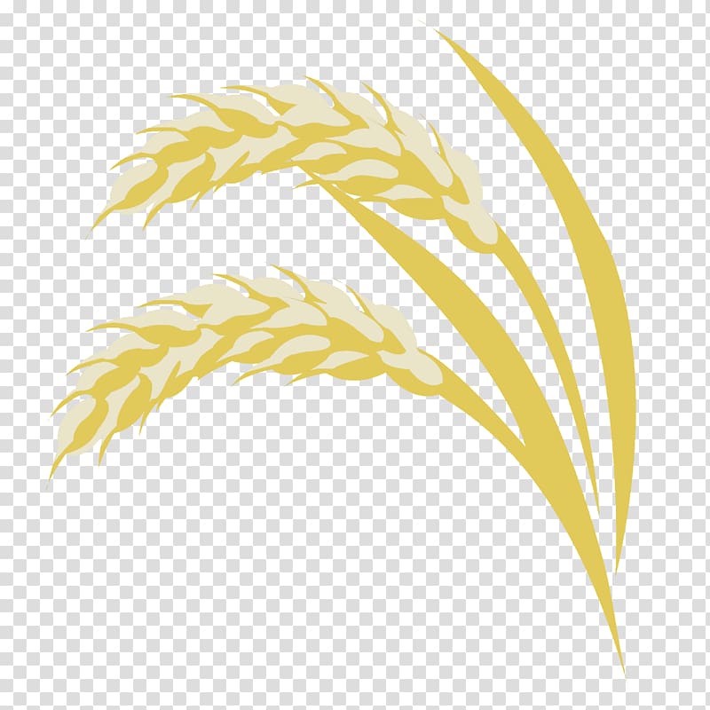Grasses Commodity Line Family, rice fields transparent background PNG clipart