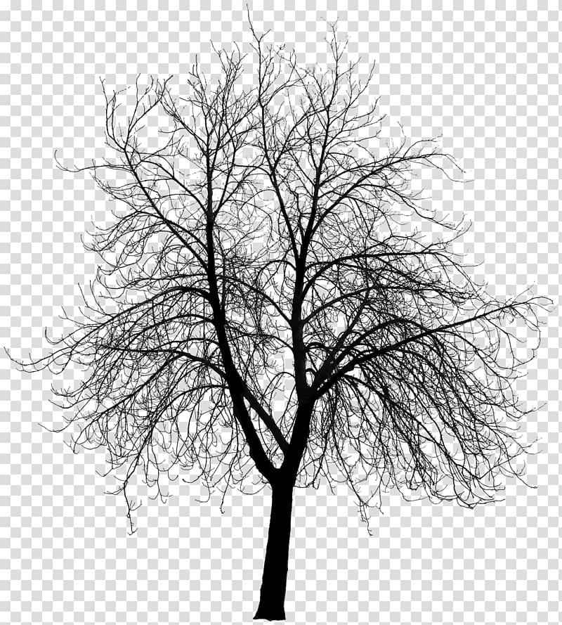 Tree Wood Silhouette The Blood House , tree transparent background PNG clipart