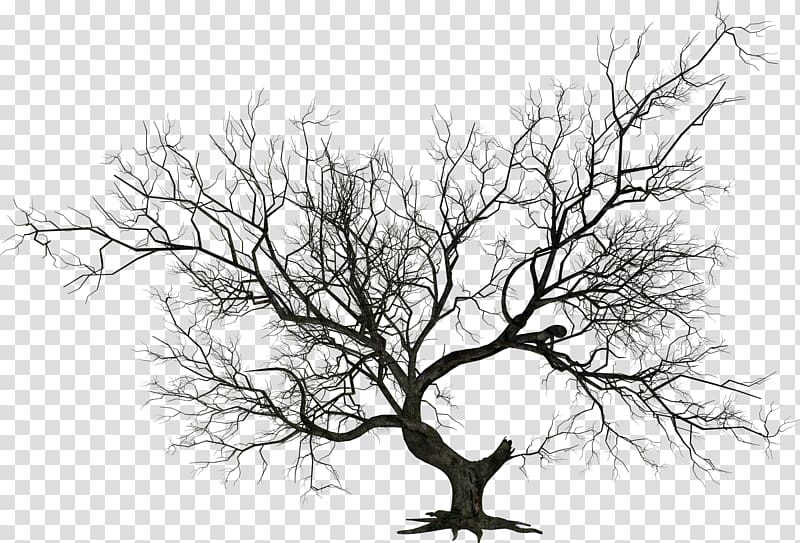 The Halloween Tree , Halloween Trees transparent background PNG clipart