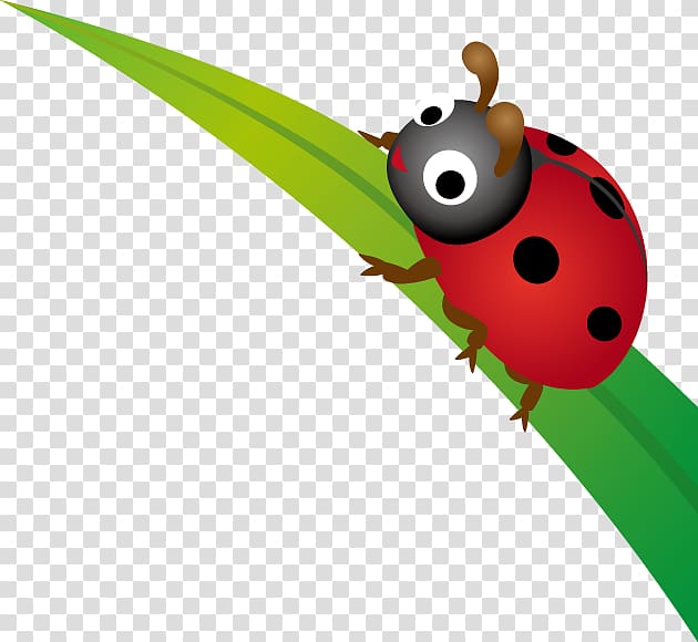 Beetle Leaf Lady Bird, beetle transparent background PNG clipart