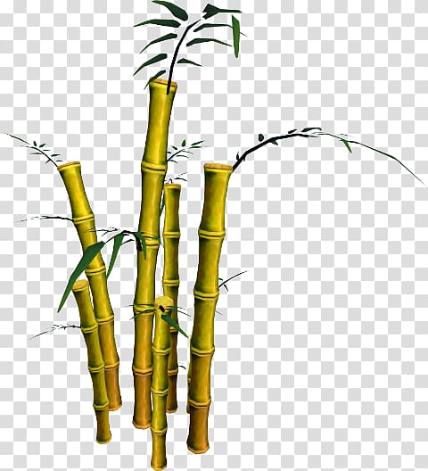 Bamboo musical instruments Phyllostachys aurea RuneScape Plant stem, bamboo transparent background PNG clipart
