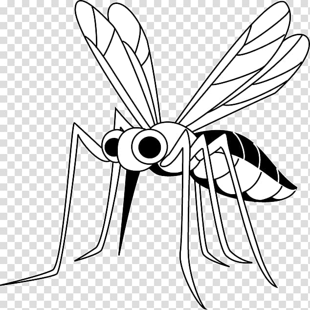 Mosquito Insect Illustration Filariasis 幼虫, mosquito transparent background PNG clipart