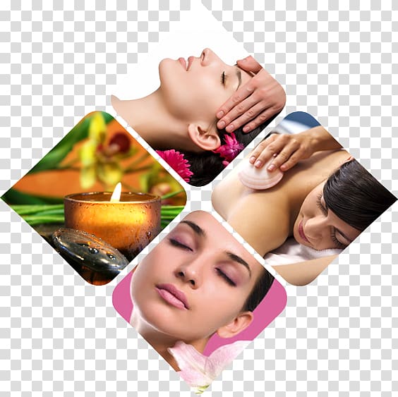 body massage collage, Beauty Parlour Day spa Cosmetics Hairdresser, beauty transparent background PNG clipart