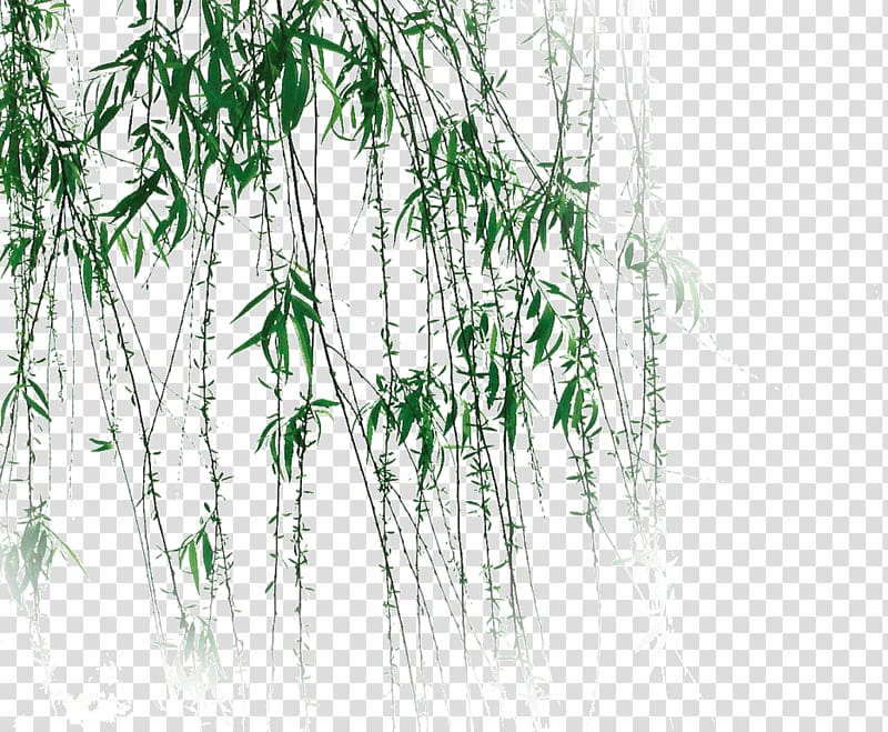 green leafed plants, China Chinese art , Emerald green ivy transparent background PNG clipart