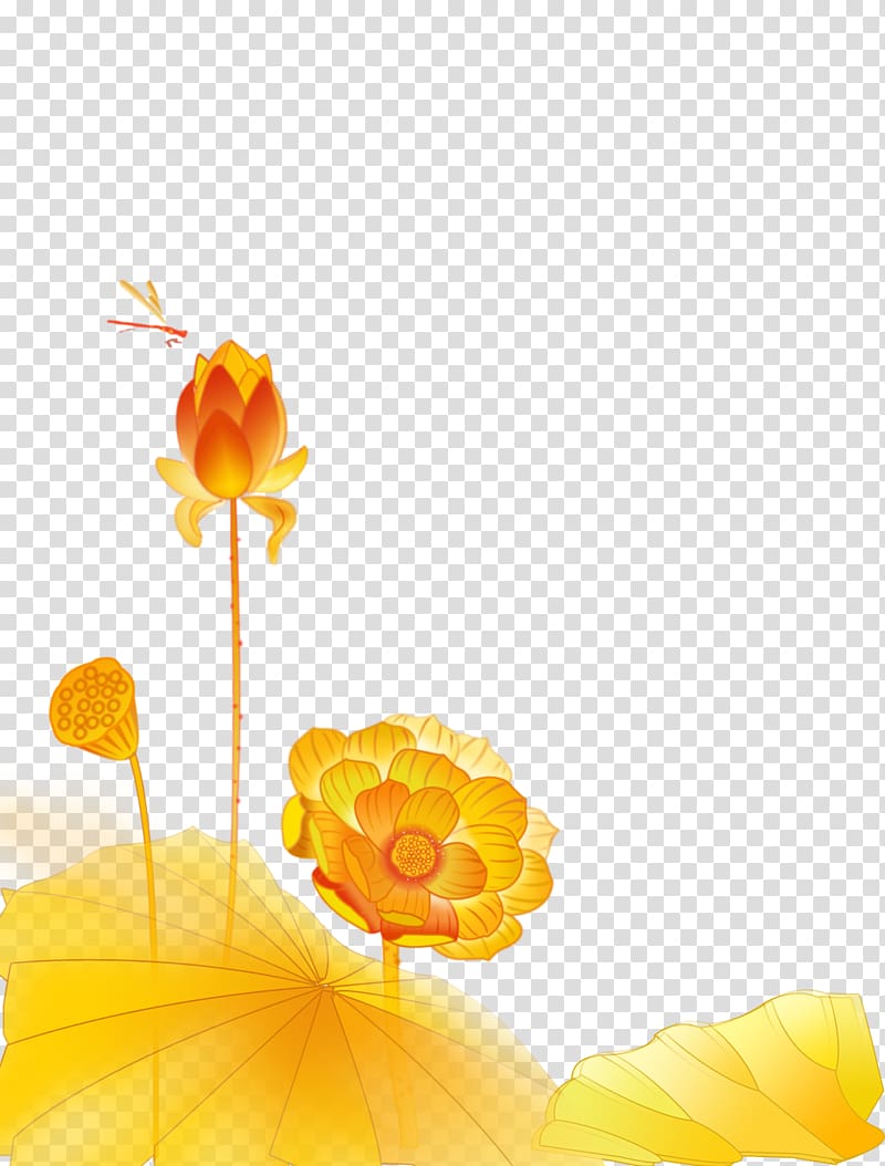 Gold Nelumbo nucifera Color, Chinese lotus transparent background PNG clipart