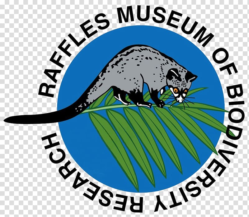 National Museum of Singapore Lee Kong Chian Natural History Museum Changi Museum Warminster, marine museum transparent background PNG clipart