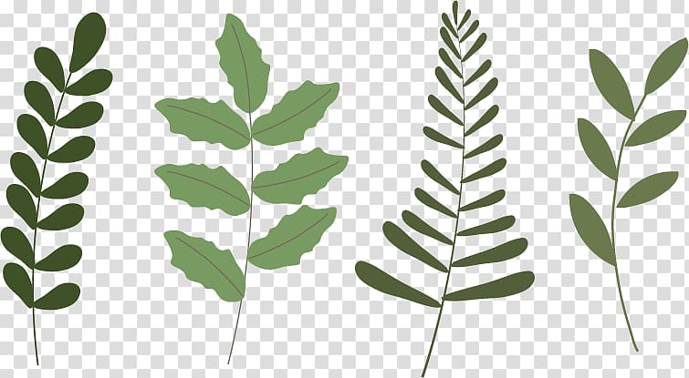 four green leafed plants illustration, Leaf Plant Poinsettia, Olive branch Christmas transparent background PNG clipart