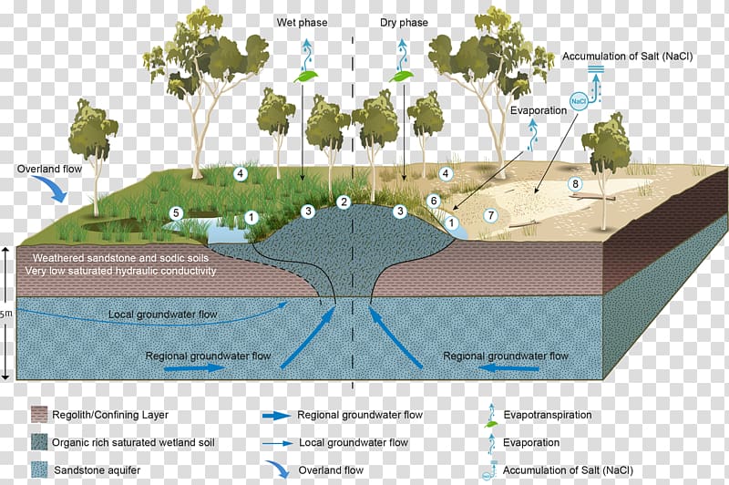 Wetland Groundwater-dependent ecosystems Aquifer Water resources, material science transparent background PNG clipart