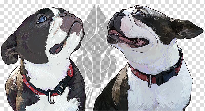 Boston Terrier Dog breed Non-sporting group Snout Leash, others transparent background PNG clipart