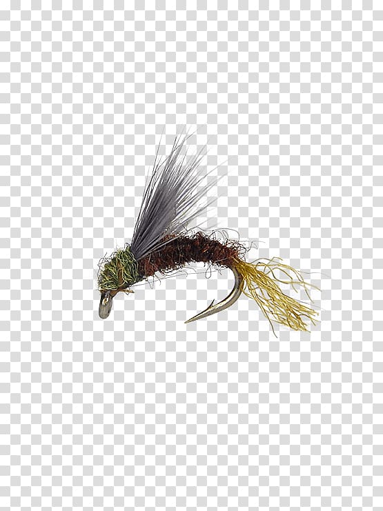Artificial fly Baetis Fly fishing Nymph Blue-winged olive, others transparent background PNG clipart