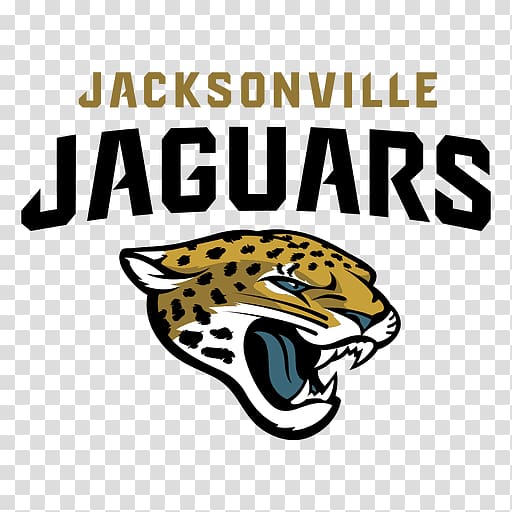 2013 Jacksonville Jaguars season EverBank Field NFL Miami Dolphins, NFL transparent background PNG clipart
