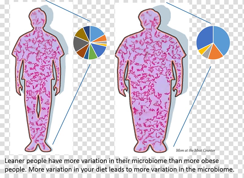 Human Microbiome Project Microbiota Gut flora Obesity Bacteria, health transparent background PNG clipart