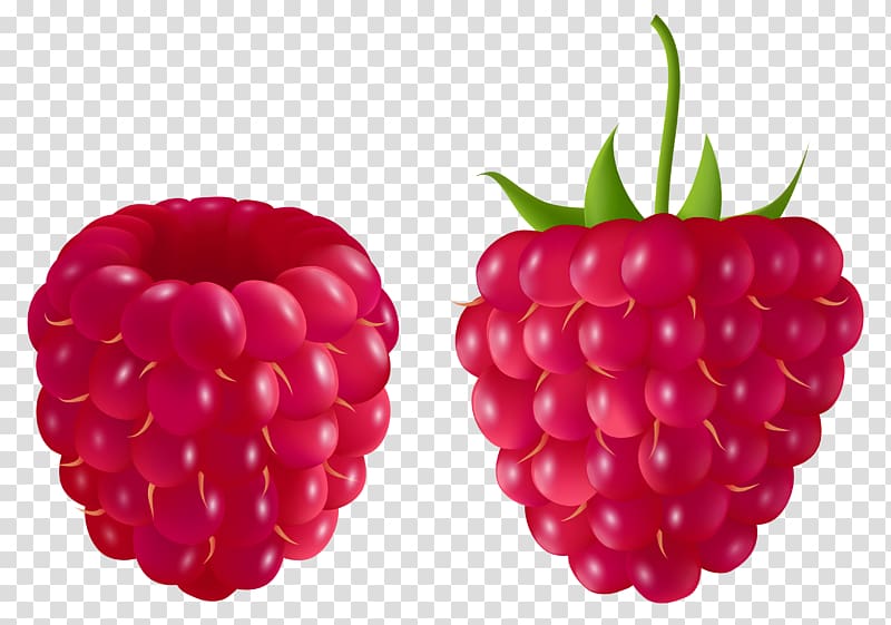 red raspberry illustration, Raspberry Blackberry Fruit , Raspberry transparent background PNG clipart