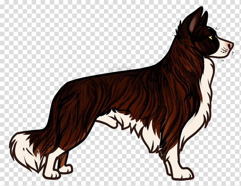 Dog breed Border Collie Rough Collie Malinois dog English Mastiff, border collie mix transparent background PNG clipart