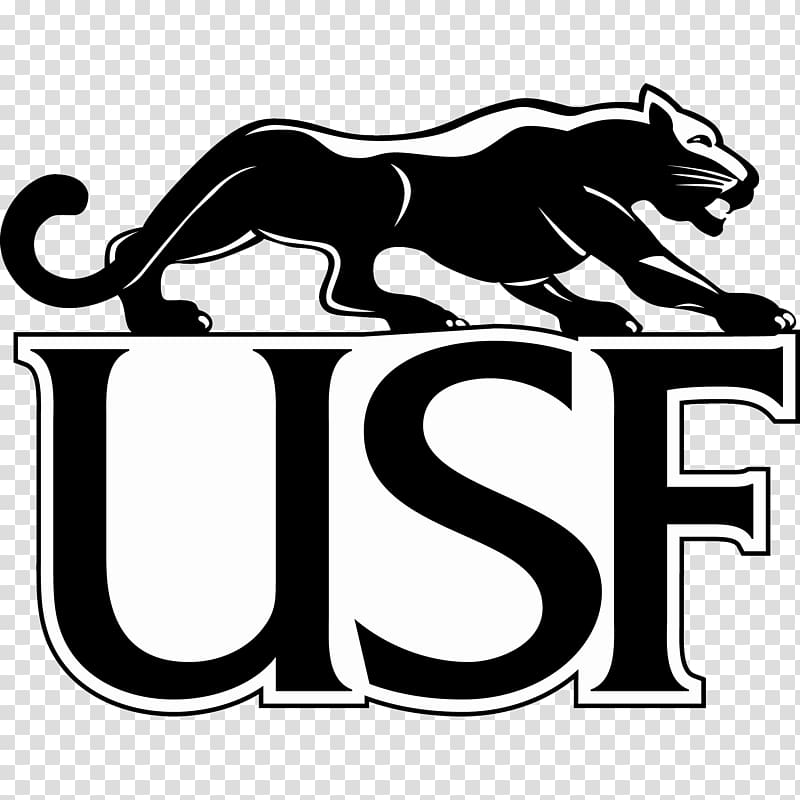 University of Sioux Falls Sioux Falls Cougars football South Florida Bulls football University of South Florida St. Cloud State University, american football transparent background PNG clipart