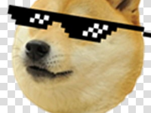 Dogecoin Sleeveless Shirt Run Jump Doge Doge Weather Others - doge warrior shiba inu puppy roblox others transparent background