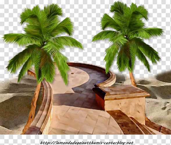 Summer hit Hit single Centerblog, palmier plage transparent background PNG clipart
