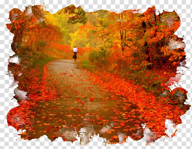 Golden Autumn Centerblog Season, autumn transparent background PNG clipart
