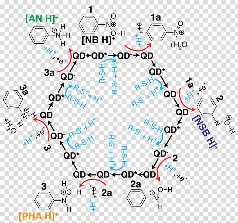 Quantum dot catalysis Nitrobenzene Aniline, Phenylhydroxylamine transparent background PNG clipart